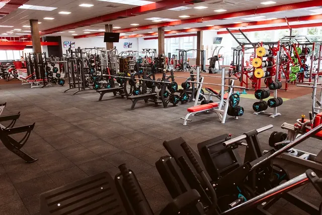 Global Fitness Szeged Sauna