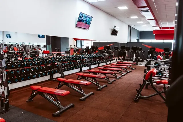 Global Fitness Szeged Sauna - Image 2
