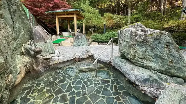 Sauna Max at LiveMax Resort Hida Takayama - Image 3