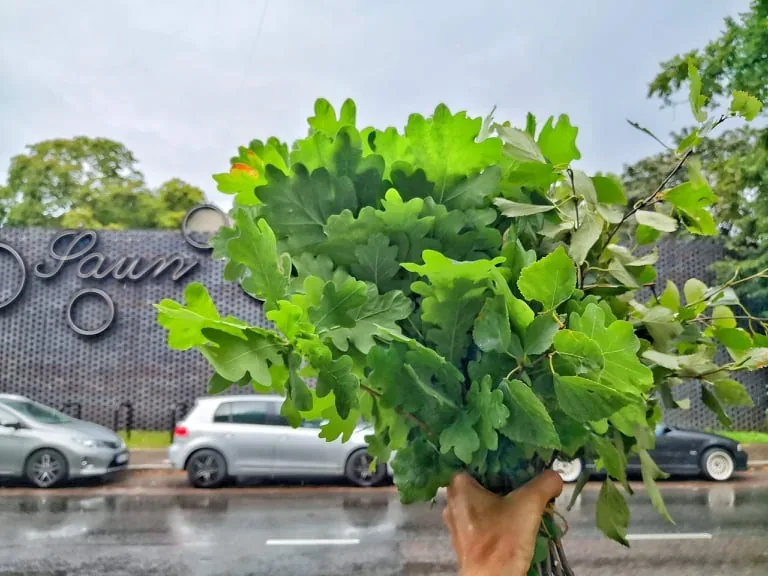 Hand holding a leafy oak whisk on a street outside a sauna building