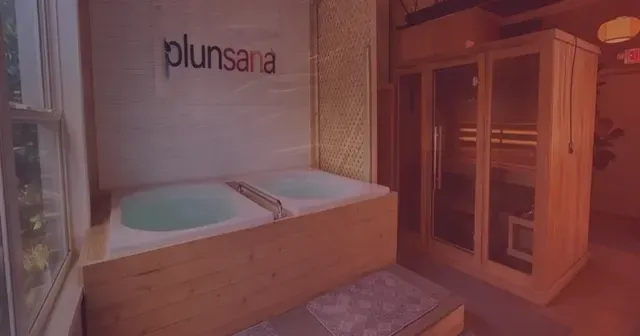 Plunsana - Image 3