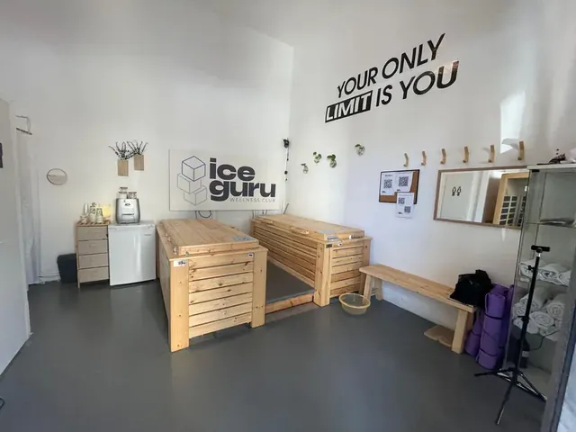 Ice Guru Ibn Gabirol - Image 2
