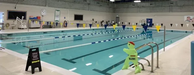 Volunteer Pool