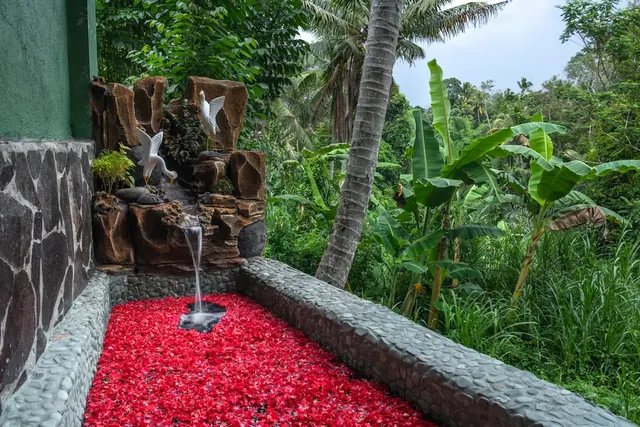 Bali Dacha - Image 3