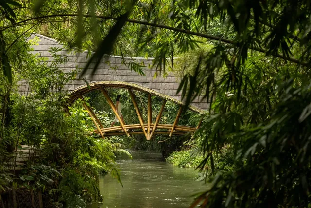Bambu Indah - Image 2